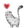 Katzen Katzenmutter Katzenkind Katze Meoww