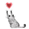 Katzen Katzenmutter Katzenkind Katze Herz