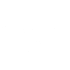 Skelettfledermaus (Weiß)