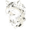 Frecher Waschbär