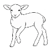 lamm