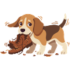 Beagle-Spielmotiv: Hund knabbert Schuh