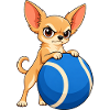 Chihuahua-Riesen-Tennisball