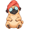 Pug Spa Day