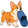 Corgi-Hausschuhdieb