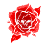 Rote Rose mit Totenkopf