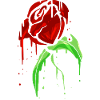 Blutende rote Rose tropfend