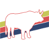 Stier Retro - Look