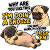 Pug Schlafmodus Spruch Design