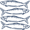 Sardinen Fische Angler