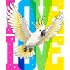 Fliegender Kakadu