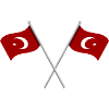 Türkische Flagge