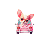 Chihuahua-Pink-Auto