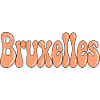 Brüsseler Pastell-Orange-Satinblasen