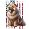 Chow Chow US Chowchow