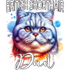 Britisch Kurzhaar Katze Papa