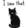 Katzenblick – I Saw That