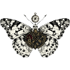 Steampunk-Motten-Halloween