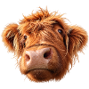Highland Cow is watching