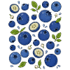 Blaubeeren | Beeren & Botanik