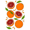 Blutorange | Zitrusfrucht & Botanik