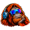 orang-utan-1