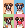 Hunde Boxer Hund