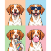 Hunde Brittany Hund