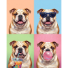 Hunde Bulldog Hund