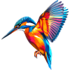 Majestätischer Eisvogel