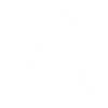 Keltisches Stammessymbol (Weiß)