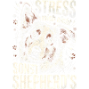 Australian Shepherd Stress Nicht Sonst Shepherds