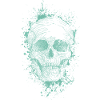Schädel