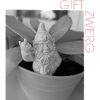 Gartenzwerg im Monochrom-Look