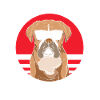 Boxer Hund