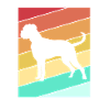 Boxer Hund