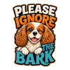 Kavallerier King Charles Spaniel