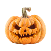Pumpkin Halloween