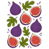 Feigen | Frucht Botanik & Mediterran