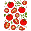Tomaten | Gemüse Garten & Ernte