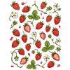 Erdbeeren | Beeren Garten & Sommer