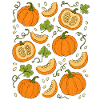Kürbisse | Herbst Gemüse & Ernte