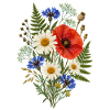 Botanische Wildblumen Wildblume