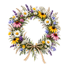 Botanische Wildblumen Wildblume