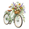 Botanische Wildblumen Wildblume