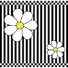 Stripes & Flowers