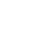 Schach Bauer