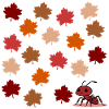 Herbst Ameise Herbstblätter