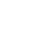 Viking Skull