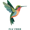 FEEL FREE – Bunter Kolibri Vogel 